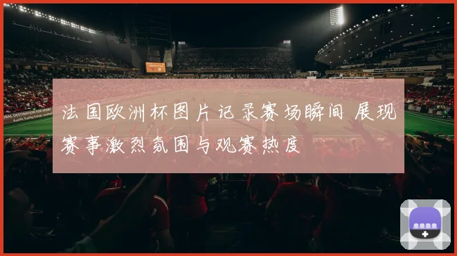 法国欧洲杯图片记录赛场瞬间 展现赛事激烈氛围与观赛热度