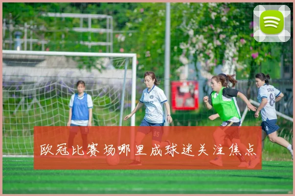 欧冠比赛场哪里成球迷关注焦点