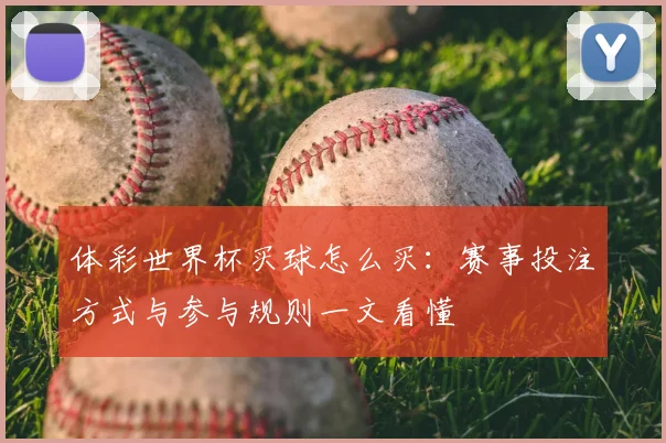 体彩世界杯买球怎么买：赛事投注方式与参与规则一文看懂