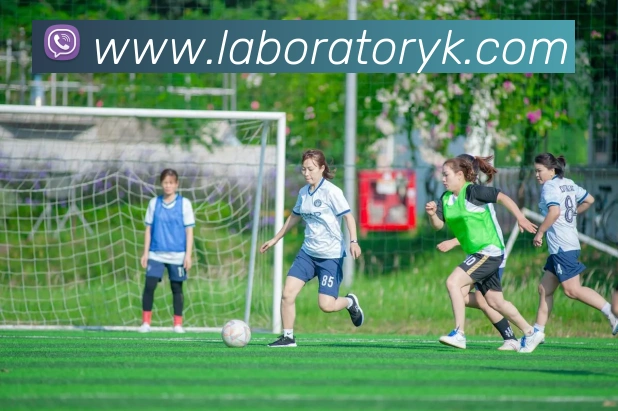 App Interface Preview