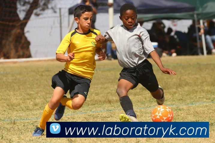 数据防护可视化